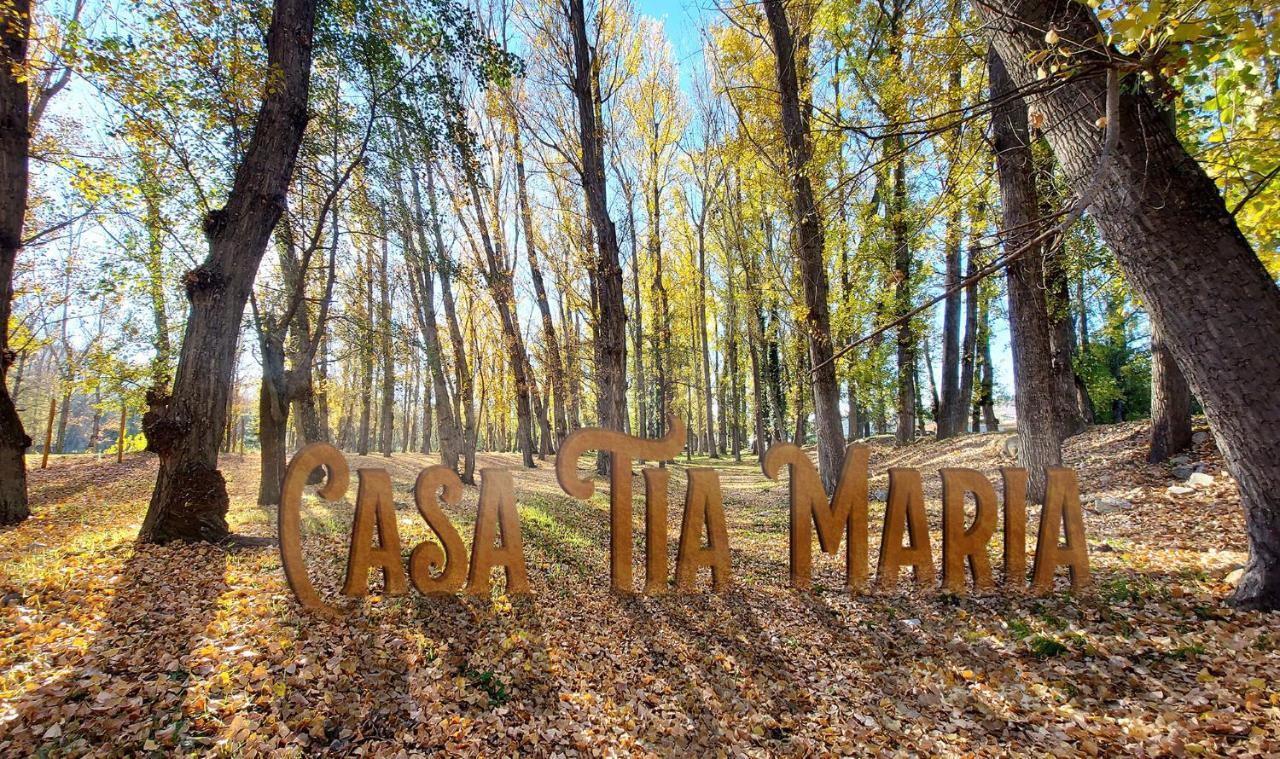 Вилла Casa Tia Maria Навалуэнга Экстерьер фото